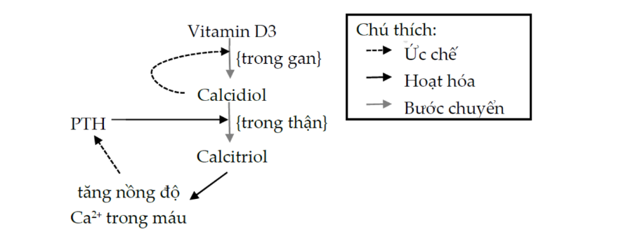 Hình minh họa
