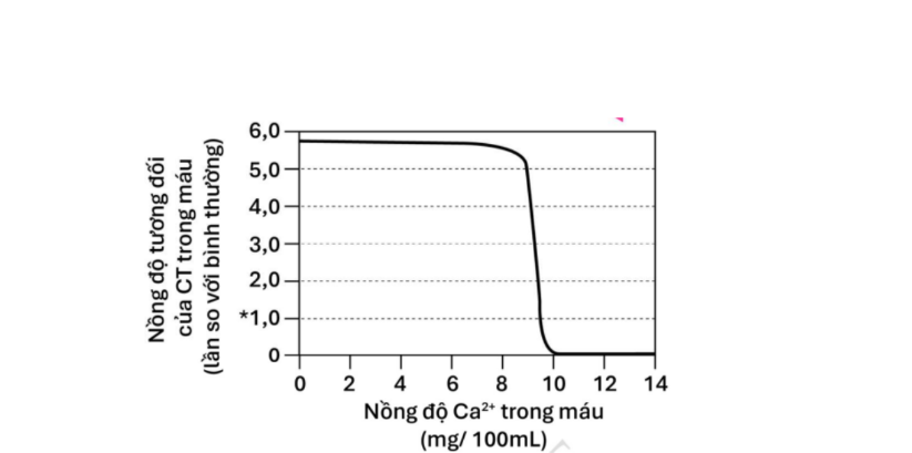 Hình minh họa