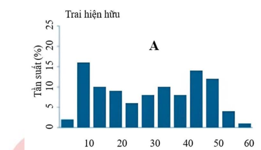 Hình minh họa
