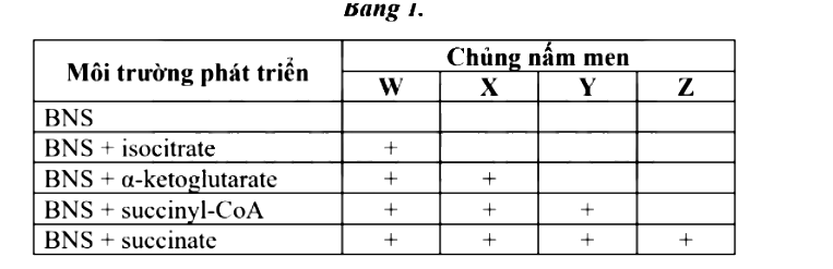 Hình minh họa