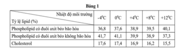 Hình minh họa
