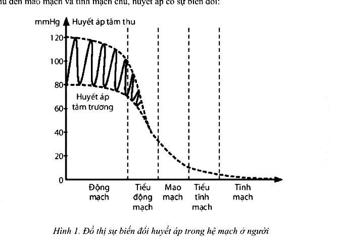 Hình minh họa