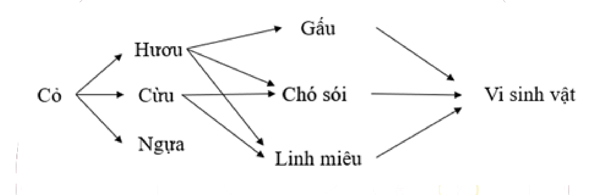 Hình minh họa