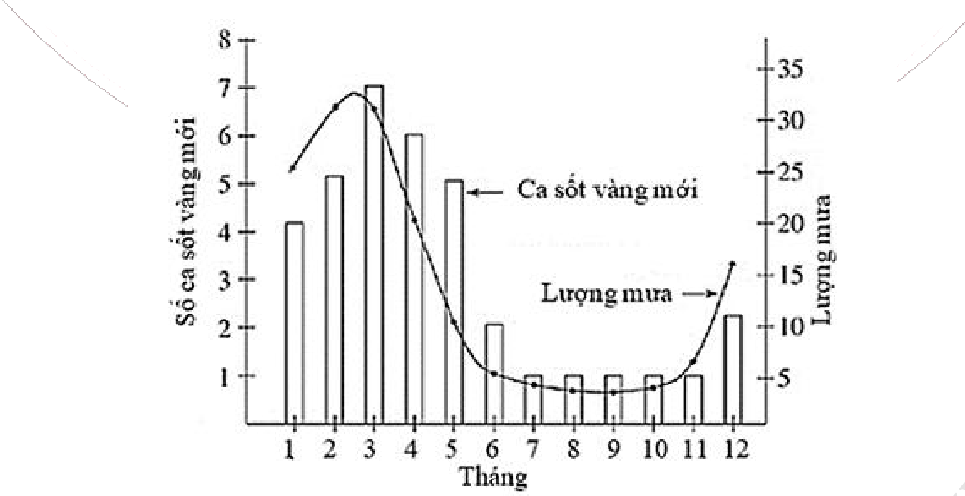 Hình minh họa
