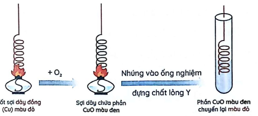 Hình minh họa