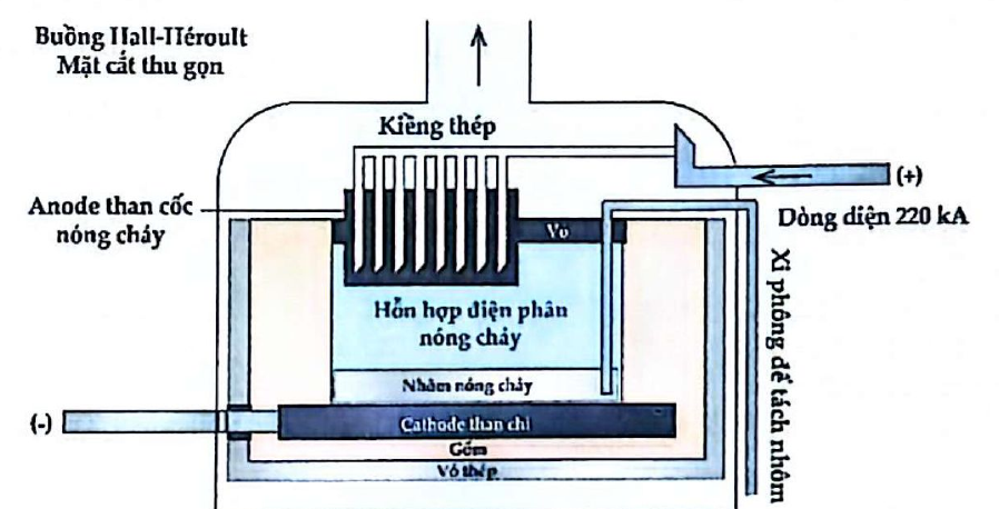 Hình minh họa