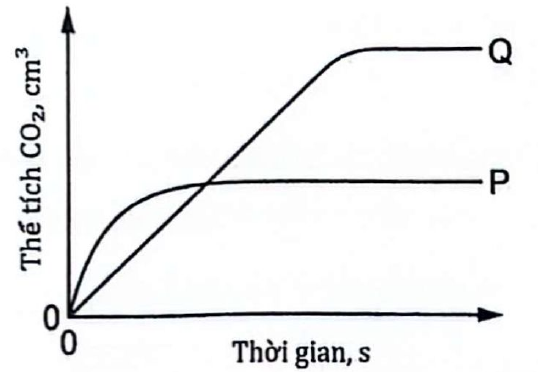 Hình minh họa