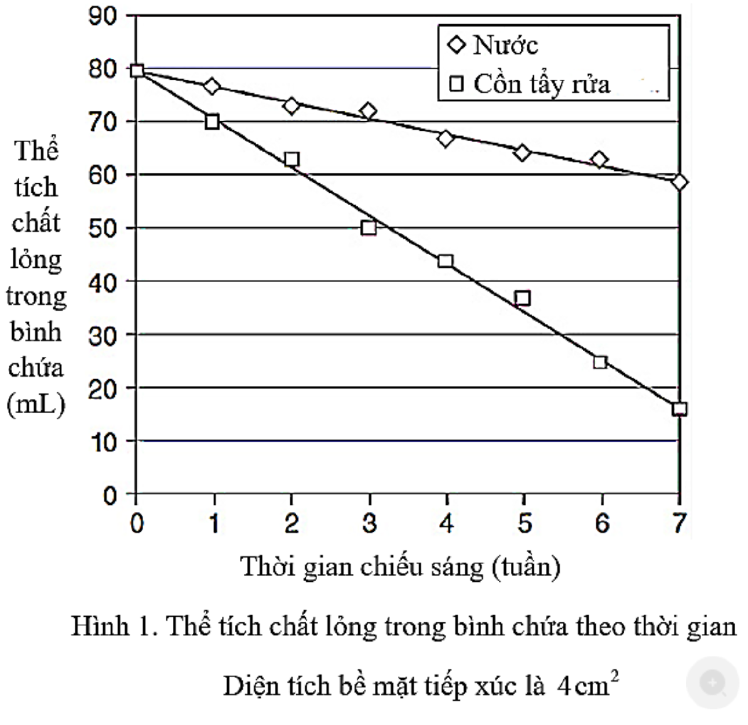 Hình minh họa