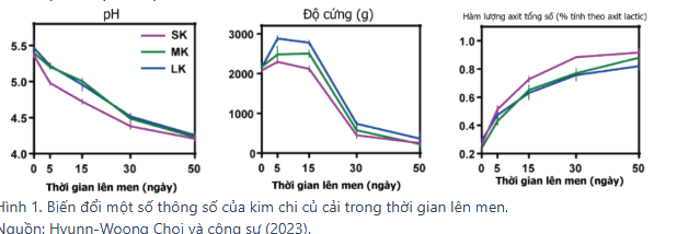 Hình minh họa